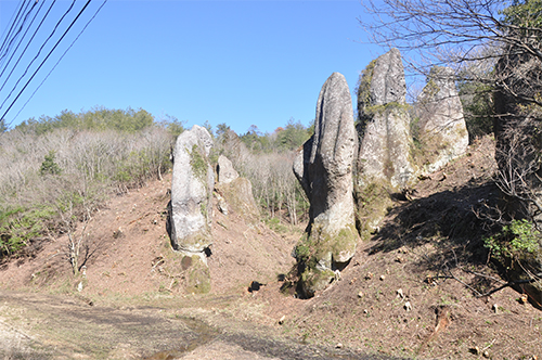 DSC_0002_resize