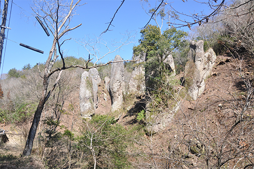 DSC_0003_resize