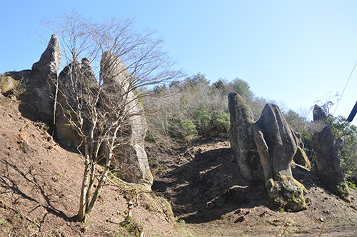 DSC_0005_resize