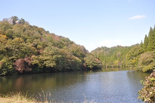DSC_0027_resize