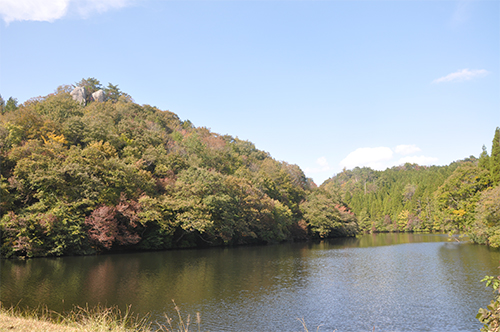 DSC_0028_resize