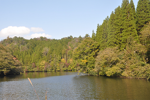 DSC_0029_resize