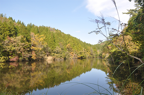 DSC_0031_resize