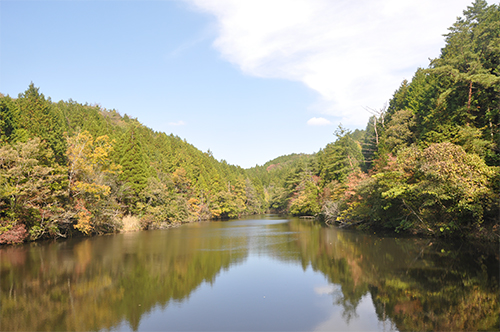 DSC_0032_resize