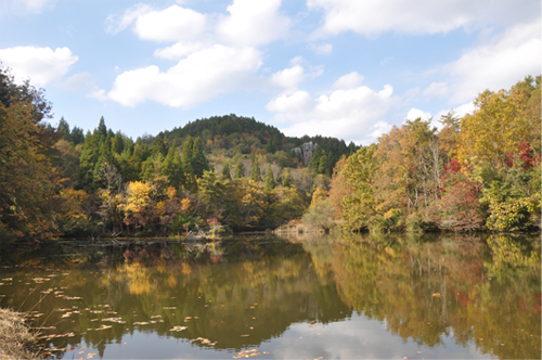 DSC_0072_resize