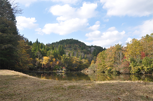DSC_0074_resize