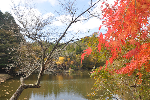 DSC_0075_resize